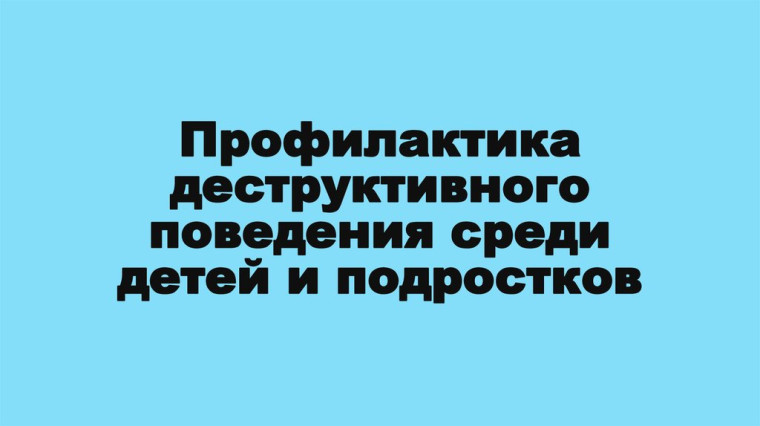 Профилактика противоправных действий среди несовершеннолетних.